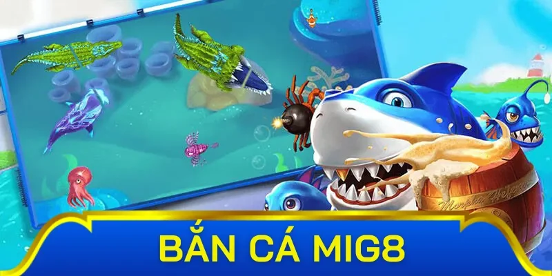 Cung cấp sinh vật biển quý hiếm đa dạng