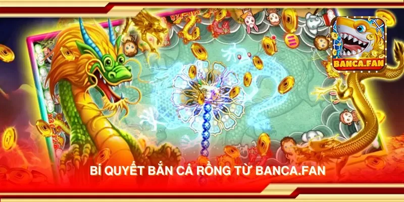 Bí quyết bắn cá rồng từ laurieraanhangwagens.nl