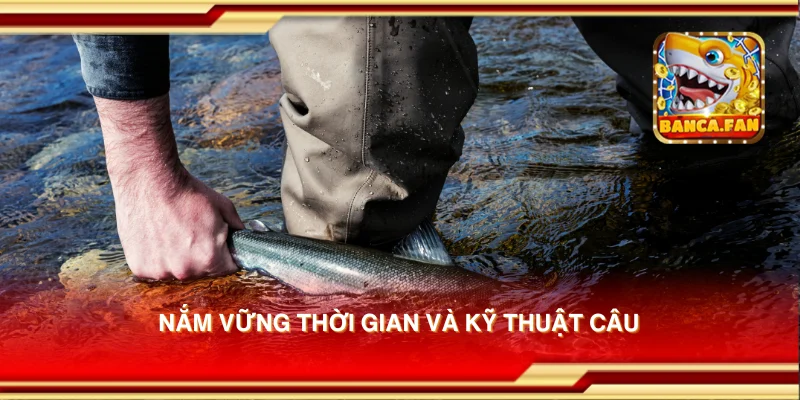 Nắm vững thời gian và kỹ thuật câu