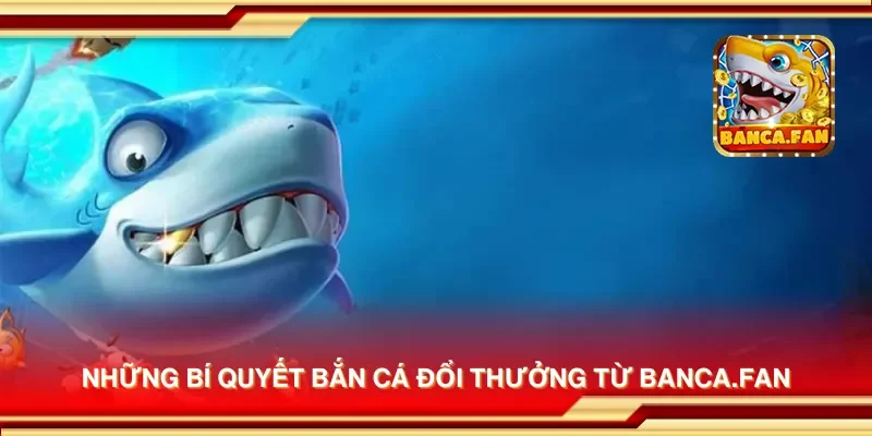 Những bí quyết bắn cá đổi thưởng từ laurieraanhangwagens.nl