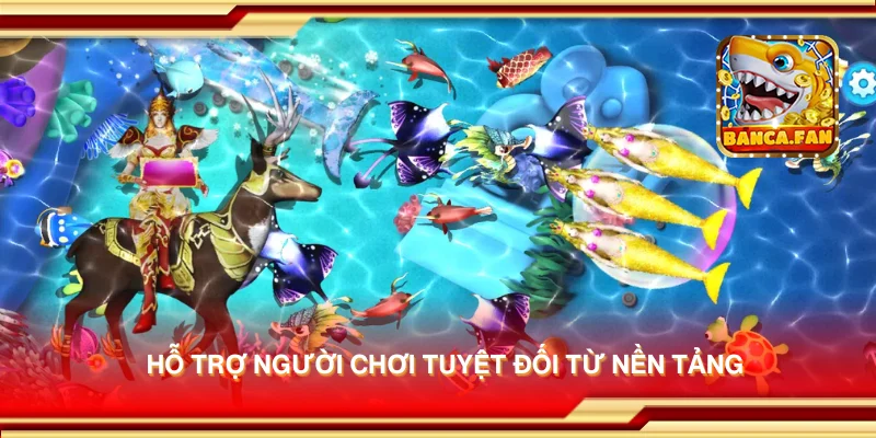 Hỗ trợ người chơi tuyệt đối từ nền tảng