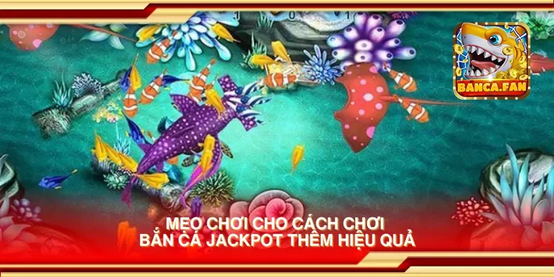 Mẹo chơi cho cách chơi bắn cá jackpot thêm hiệu quả
