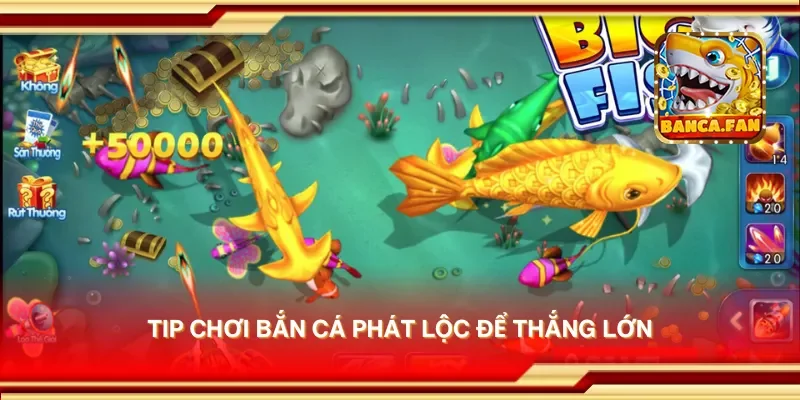 Tip chơi bắn cá phát lộc để thắng lớn